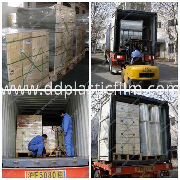 our PET film transportation